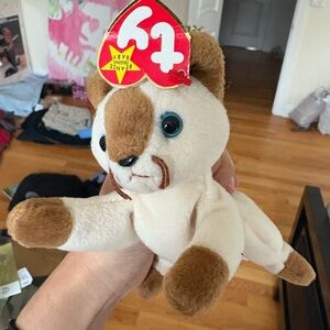 Set of SEVEN beanie baby ty bears